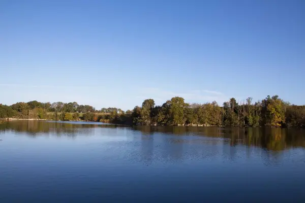 Sudaki ağaçların yansıması