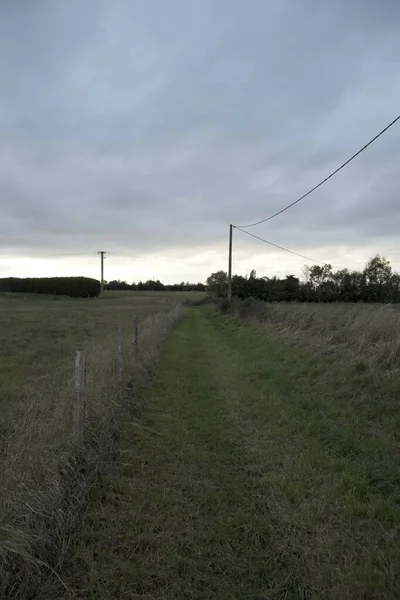 Sunset Field — Stock Photo, Image