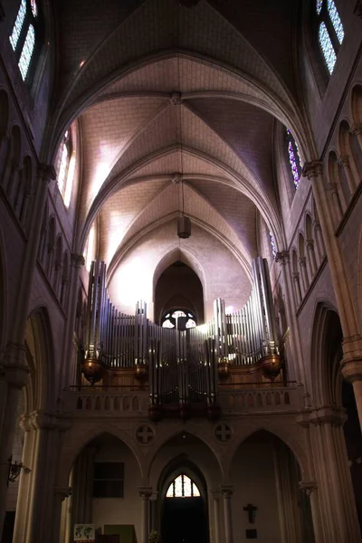 Intérieur Cathédrale Saint — Photo