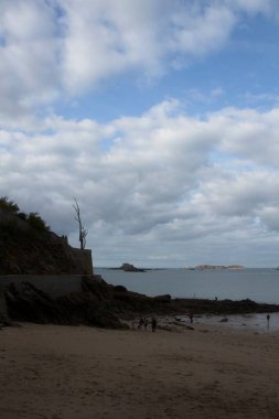 Bir kayanın üzerindeki ağaç silueti.