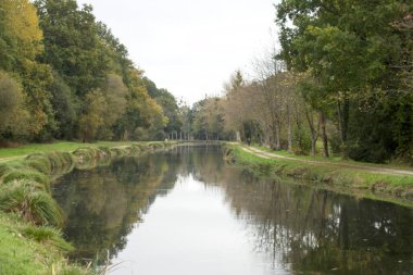 Nehir ve ağaçlarla kaplı manzara