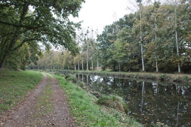 Nehir ve ağaçlarla kaplı manzara