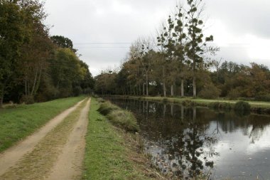 Nehir ve ağaçlarla kaplı manzara