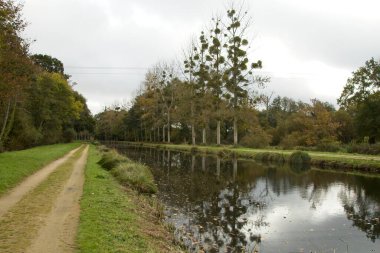 Nehir ve ağaçlarla kaplı manzara
