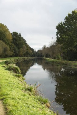Nehir ve ağaçlarla kaplı manzara