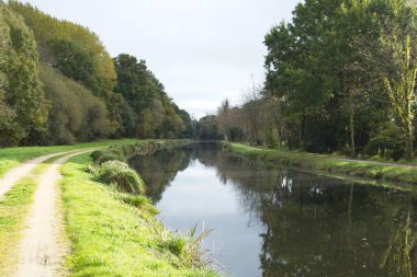 Nehir ve ağaçlarla kaplı manzara