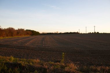 Sahada gün batımı