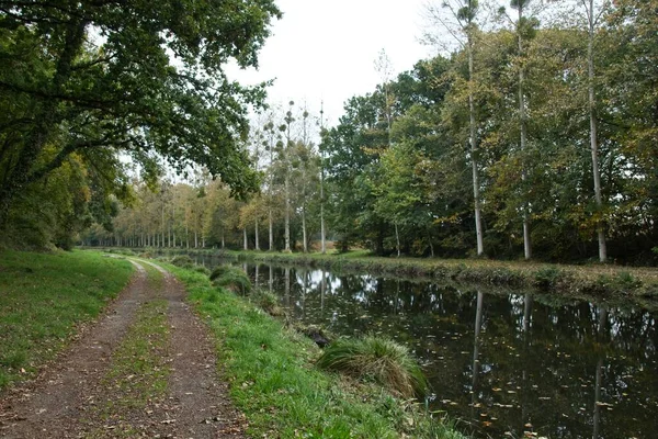 Krajobraz Rzeką Drzewami — Zdjęcie stockowe