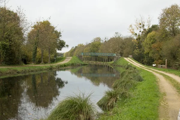 Landschap Met Rivier Bomen — Stockfoto