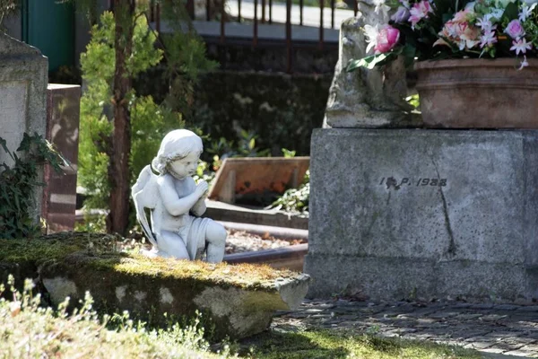 Статуя Ангела Кладовищі — стокове фото
