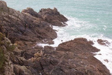 Atlantik Okyanusu kıyıları