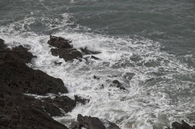 Atlantik Okyanusu kıyıları