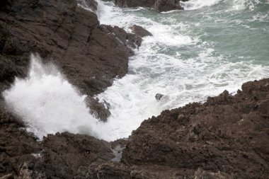 Atlantik Okyanusu kıyıları