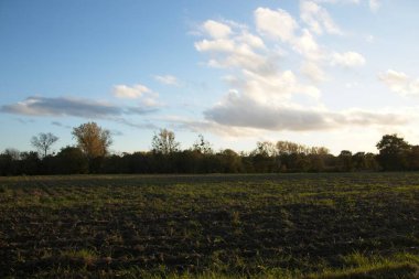 Sahada gün batımı