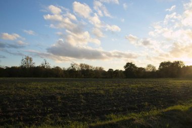 Sahada gün batımı