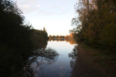 Suya yansıyan sonbahar ağaçları