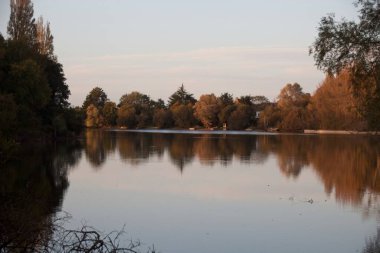 Suya yansıyan sonbahar ağaçları