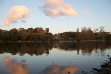 Suya yansıyan sonbahar ağaçları