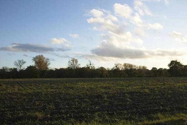 Sahada gün batımı