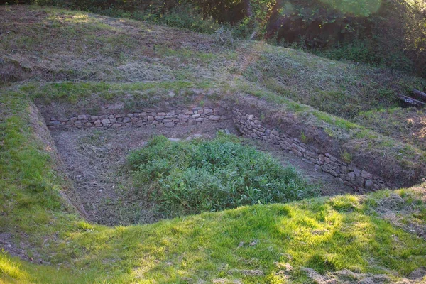 Bölgede lavanta alanı