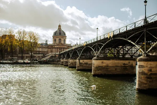 Veduta Della Senna Parigi — Foto Stock