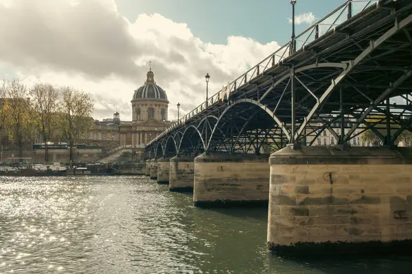 Vista Sena Paris — Fotografia de Stock