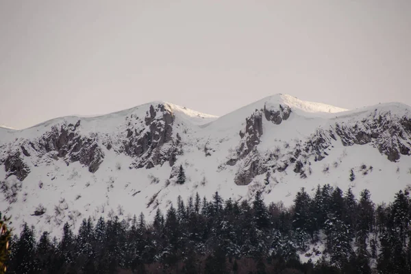 Montagnes Enneigées Hiver — Photo