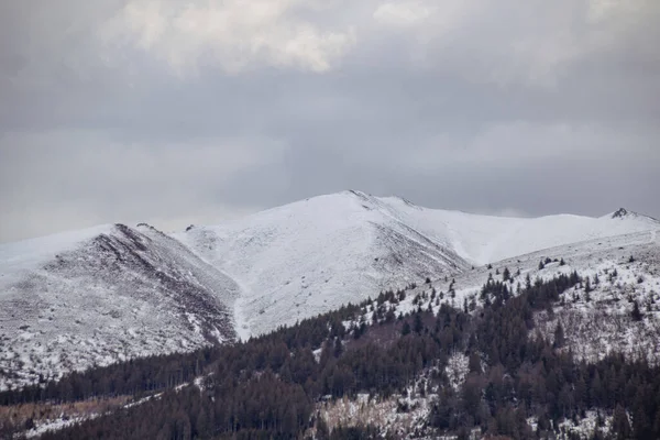 Montagnes Enneigées Hiver — Photo