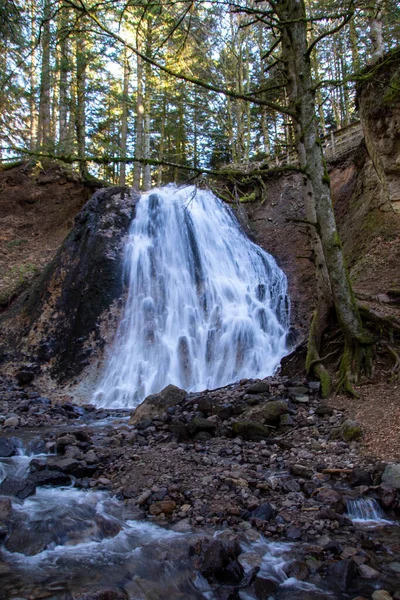 Cascade Dans Forêt — Photo