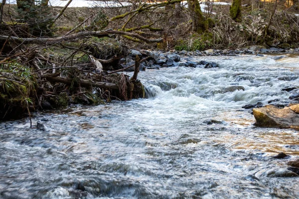 Fluss Den Bergen — Stockfoto