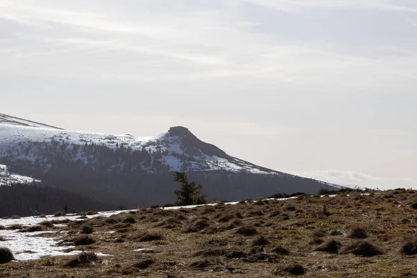 Matin Brumeux Dans Les Montagnes — Photo