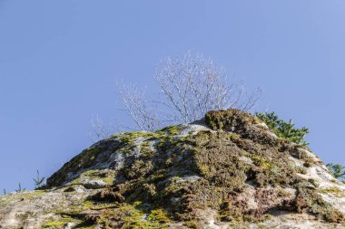 Mavi gökyüzü olan dağ manzarası