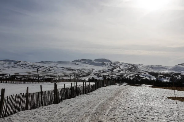 Landschap Met Besneeuwde Bomen — Stockfoto