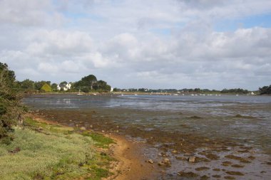 the river in the country