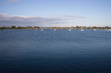 Deniz kıyısının manzarası