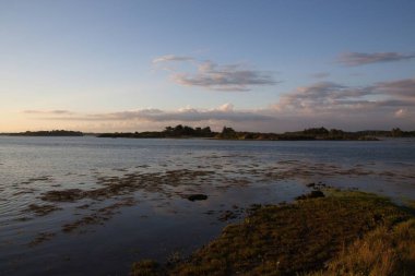 plaj ve deniz manzarası