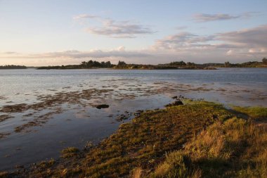 plaj ve deniz manzarası