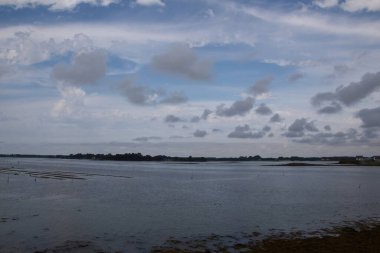 plaj ve deniz manzarası