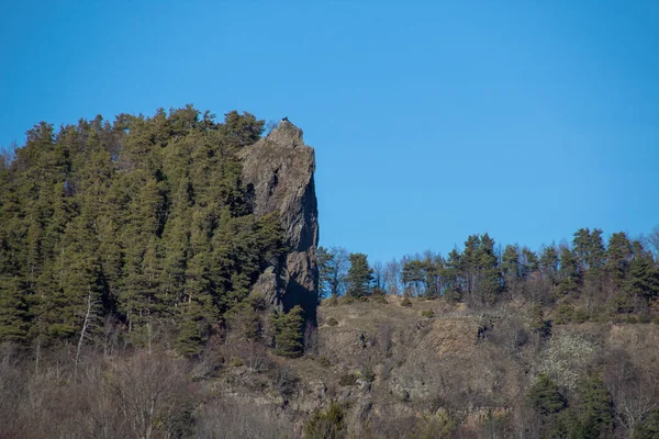 Les Arbres Dans Les Montagnes — Photo