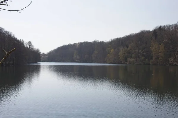 Reflexão Árvores Lago — Fotografia de Stock