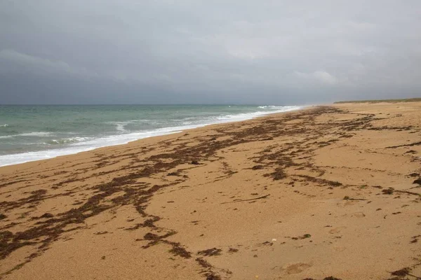 Stranden Morgonen — Stockfoto