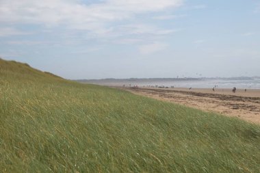 Çim ve gökyüzü tarlası