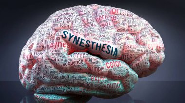 Synesthesia in human brain, hundreds of crucial terms related to Synesthesia projected onto a cortex to show broad extent of the condition and to explore concepts linked to it, 3d illustration clipart
