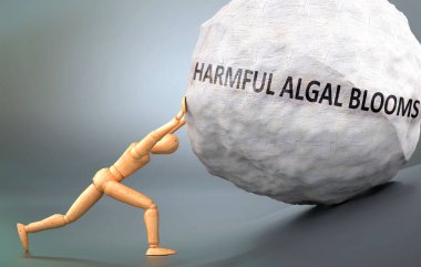 Zararlı alg çiçeklerinin açıklanması, zararlı alg çiçekleriyle uğraşırken ağır yükü sembolize eden ahşap bir model gösterdi.