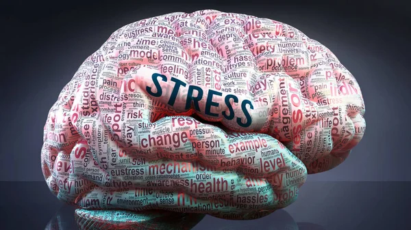 人間の脳のストレス この状態の広い範囲を示すために皮質に投影ストレスに関連する重要な用語の数百 およびストレスに関連する重要な概念を探索するために 3Dイラスト — ストック写真