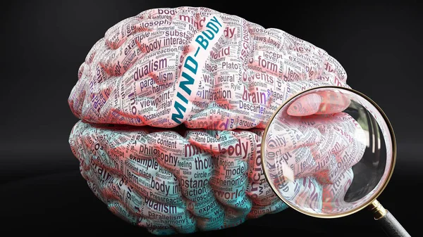 Cuerpo Mente Cerebro Humano Concepto Que Muestra Cientos Palabras Cruciales — Foto de Stock