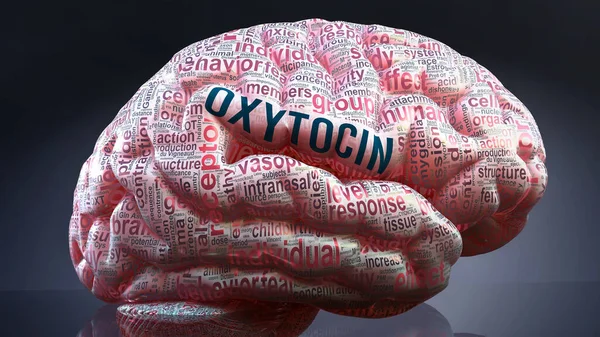 İnsan beyninde oksitosin, durumun büyüklüğünü göstermek ve onunla bağlantılı kavramları keşfetmek için bir kortekse yansıtılan yüzlerce önemli terim, 3 boyutlu illüstrasyon