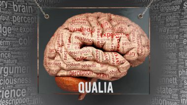 Qualia anatomisi - insan beyninde ortaya çıkan neden ve etkiler Qualia karmaşıklığını ve insan zihni ile ilişkisini ortaya çıkarıyor. Sanat kavramı, 3D illüstrasyon