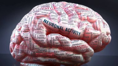 İnsan beynindeki nöronal aktivite, nöronal aktiviteyle ilgili yüzlerce terim bu durumun geniş bir boyutunu göstermek için bir kortekse yansıtılıyor.