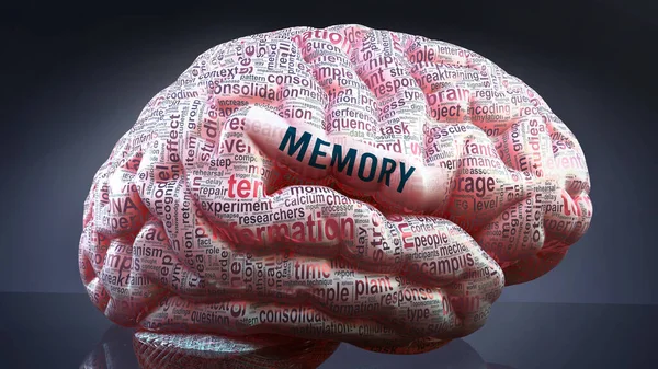 人間の脳における記憶 この状態の広い範囲を示すために皮質に投影されたメモリに関連する重要な用語の数百 メモリに関連する重要な概念を探索する 3Dイラスト — ストック写真